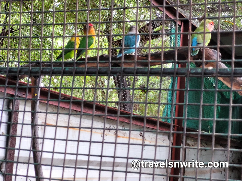 Indore Zoo