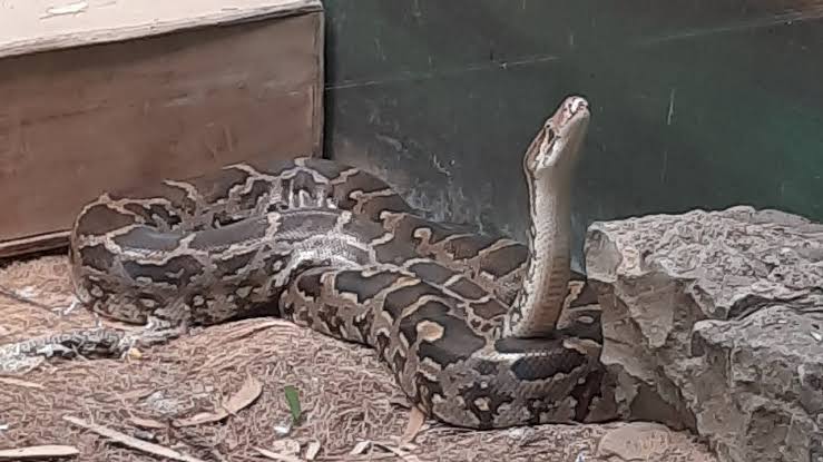 Indore Zoo