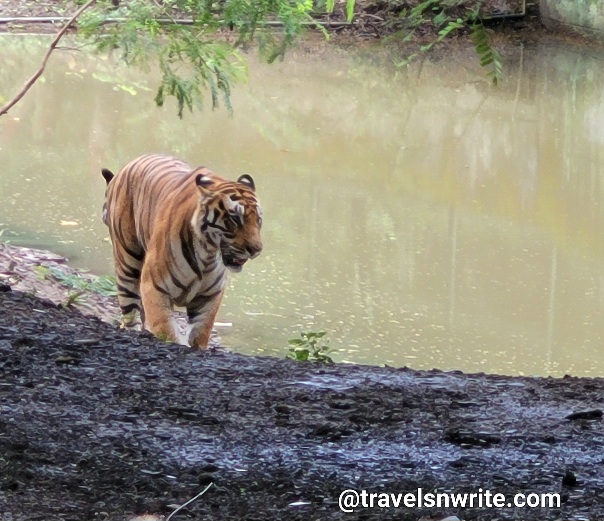 Indore Zoo