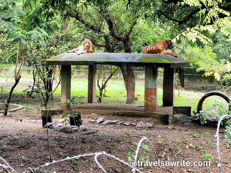 Indore Zoo