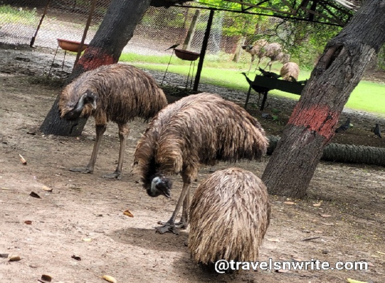 Indore Zoo